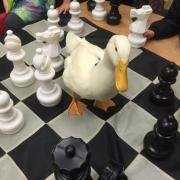 large_chessduck.jpg
